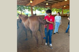 students with horse